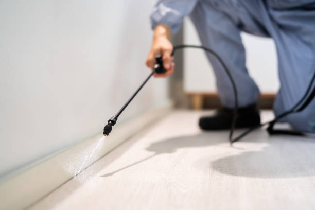 Licensed Pest Control service in Stanton, TX - Show Me Pest Control