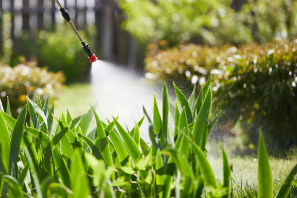 24/7 Emergency Ant Control experts in Stanton, TX