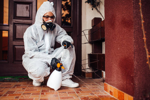 Reliable Ant Control contractor in Stanton, TX by Show Me Pest Control